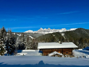 Steinwandalm